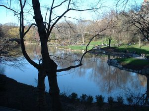 Central Park's Bethesda Terrace Vandalized - Gothamist