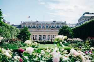 The Palais-Royal (French pronunciation: ​[pa.lɛ ʁwa.jal]), o by